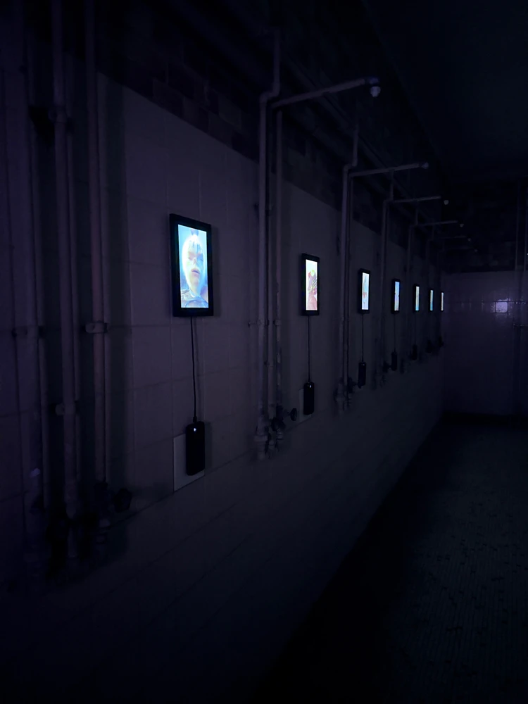 Bild hochgeladen von Shemnur