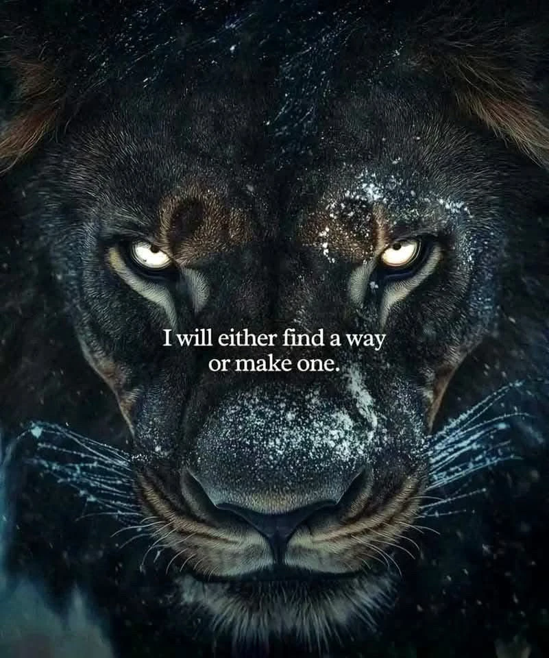 GIF uploaded by Pedro