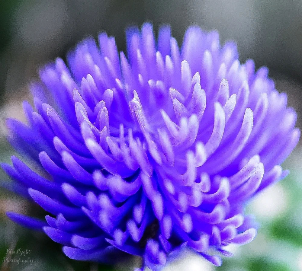 Image uploaded by Christine