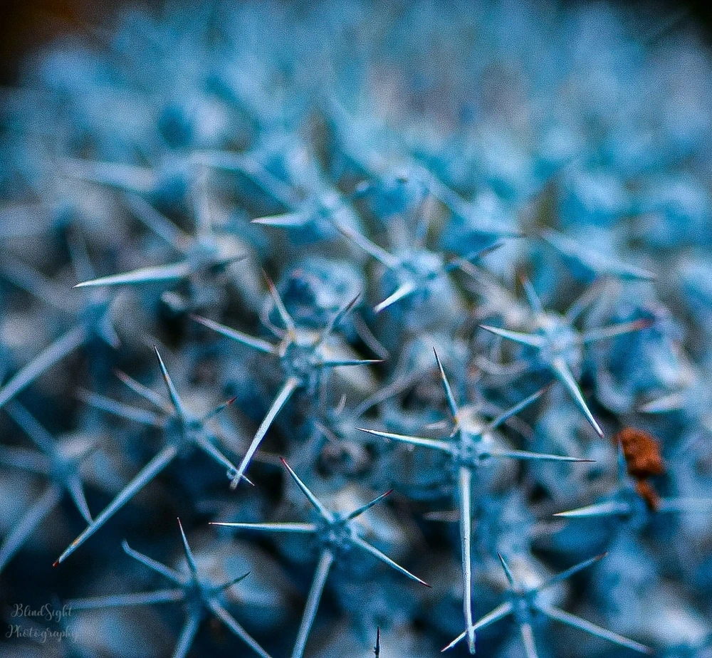 Image uploaded by Christine