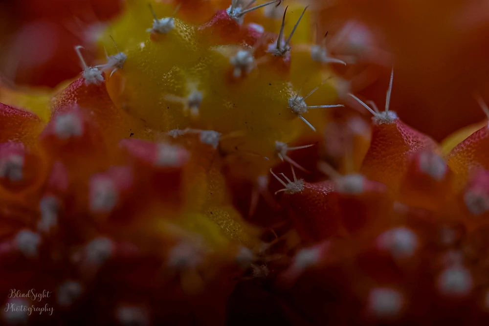 Image uploaded by Christine