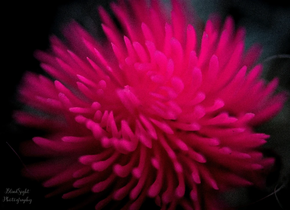 Image uploaded by Christine