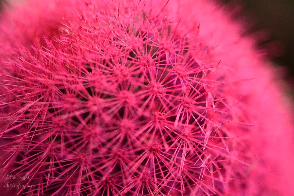 Image uploaded by Christine