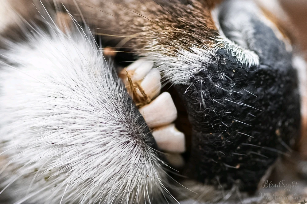 Image uploaded by Christine