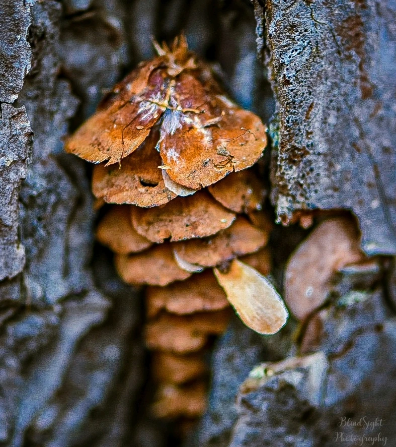 Image uploaded by Christine