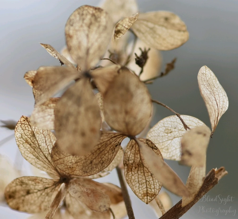 Image uploaded by Christine