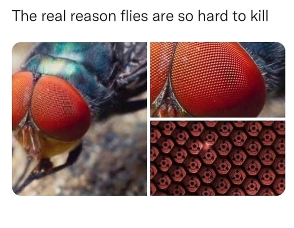 GIF hochgeladen von Basti