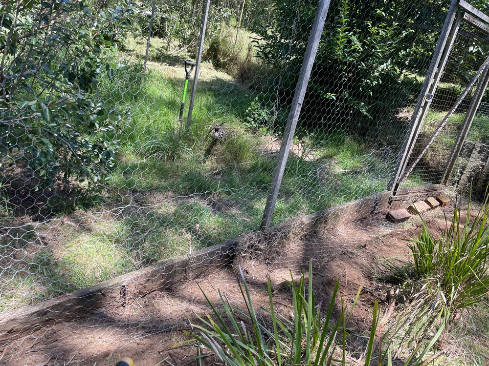 Image uploaded by Jamie