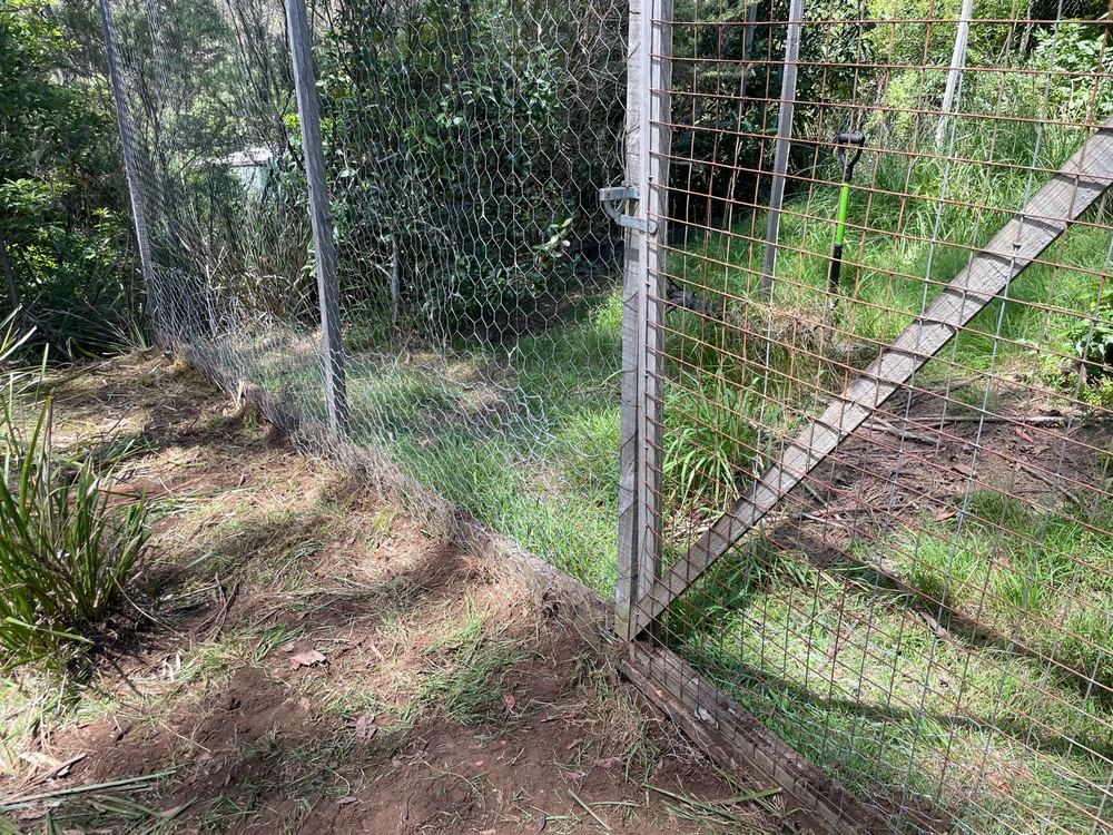 Image uploaded by Jamie