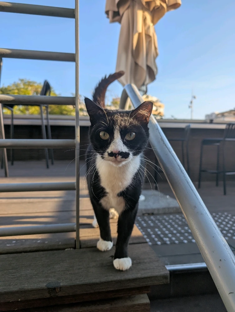 GIF uploaded by Aviv