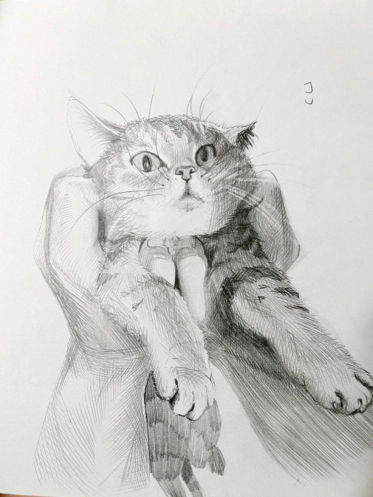 GIF uploaded by Franky