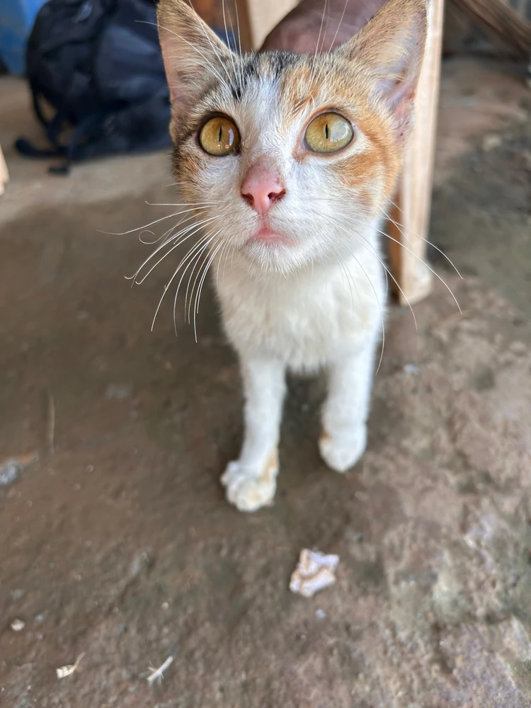 GIF diunggah dening Sai