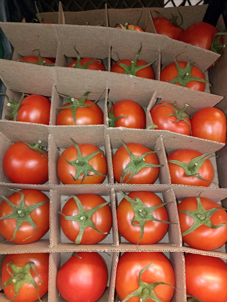 GIF загрузил Vera