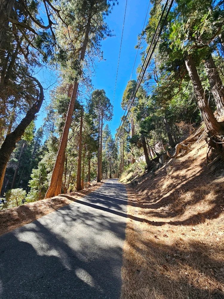 GIF subido por Martin