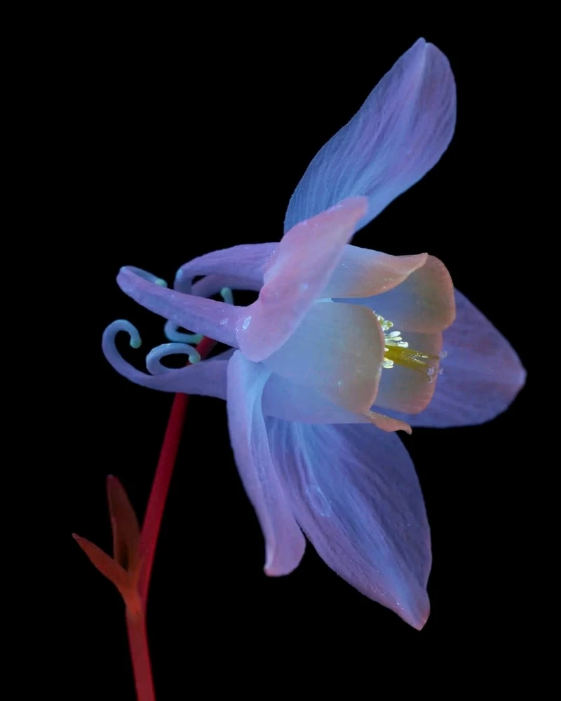 Image ajoutée par Dorian🐞