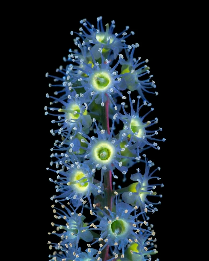 Image ajoutée par Dorian🐞