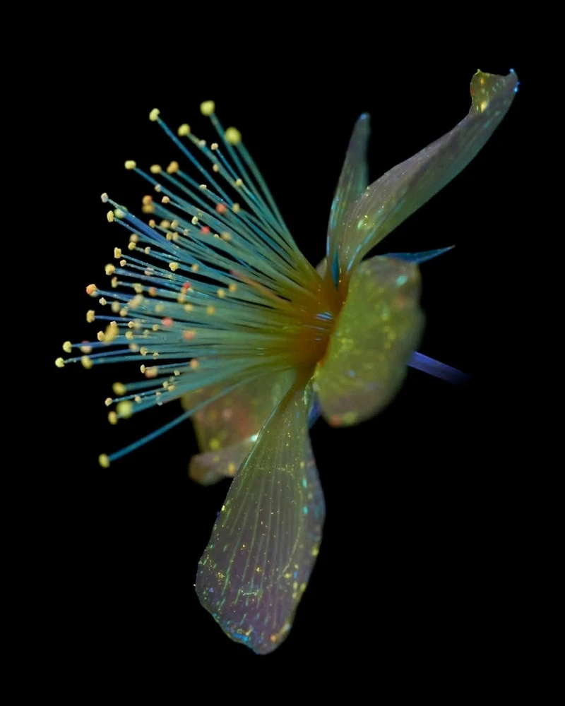 Image ajoutée par Dorian🐞