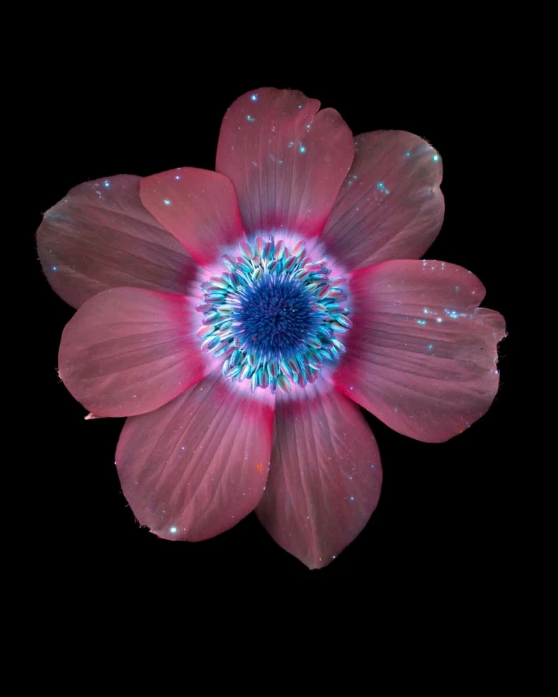 Image ajoutée par Dorian🐞