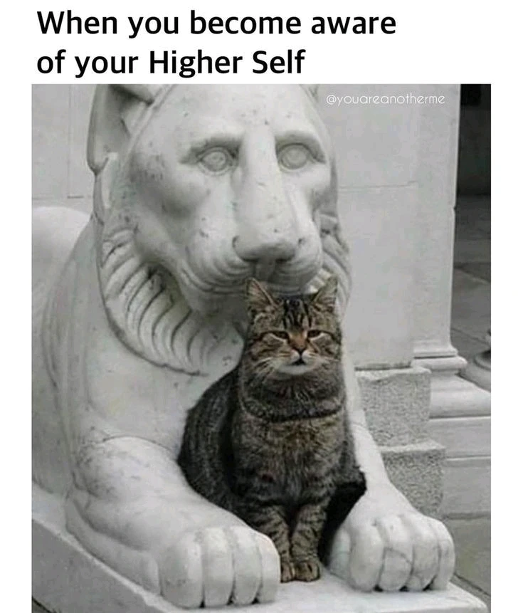 Зображення завантажив Natalia🦇