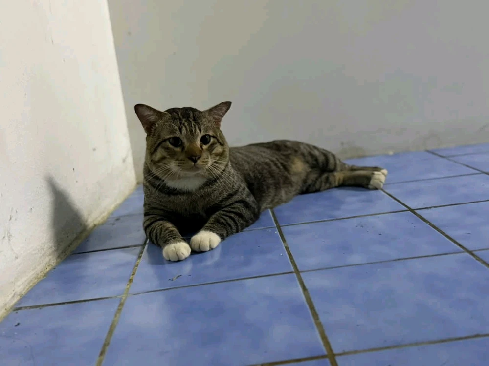 Imej dimuat naik oleh Scilla♡
