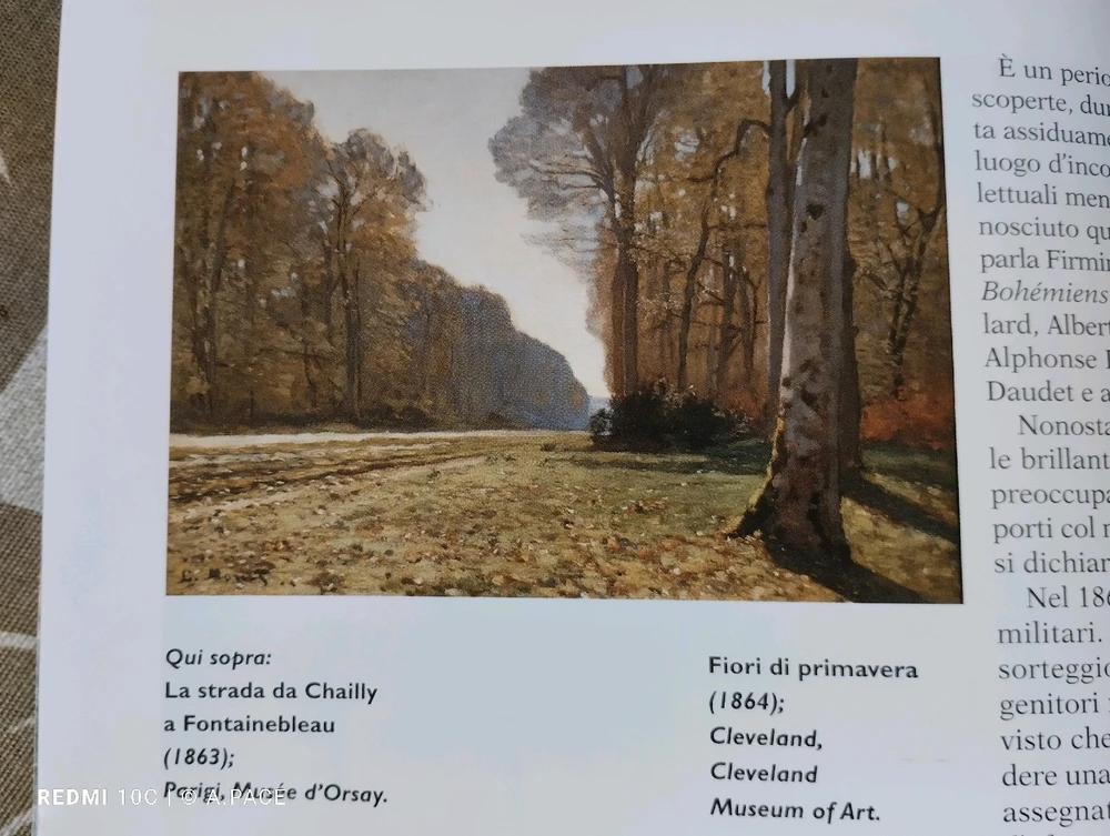 Immagine caricata da Alessandro | alpacigno