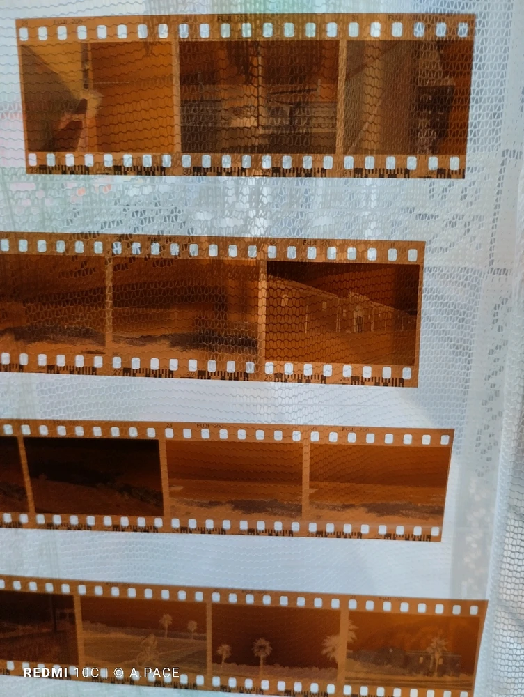 Immagine caricata da Alessandro | alpacigno