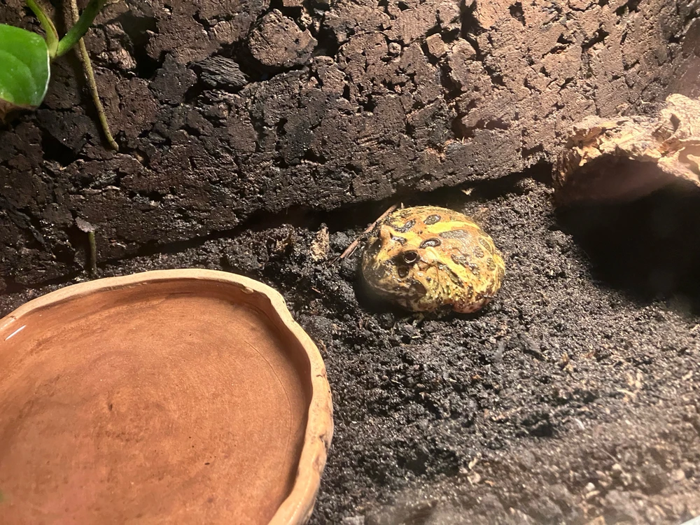 GIF dodany przez Jakub