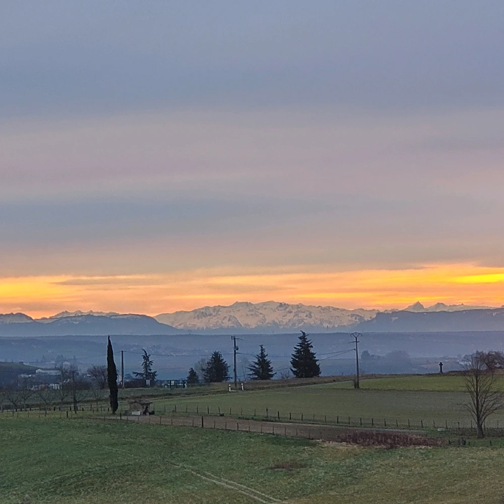 Vallée du Rhône,  vue sur la chaîne des Alpes