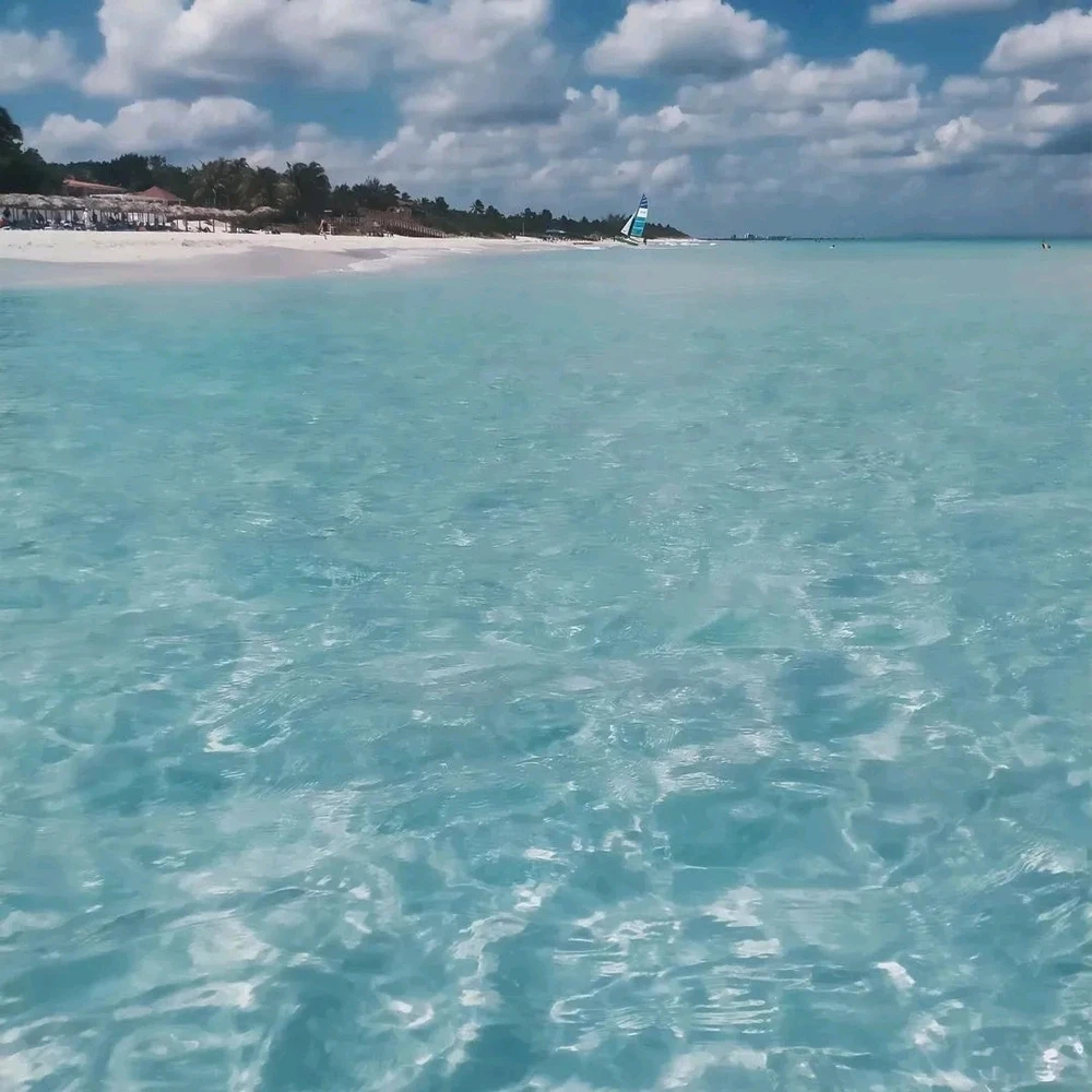 Immagine caricata da Enrico