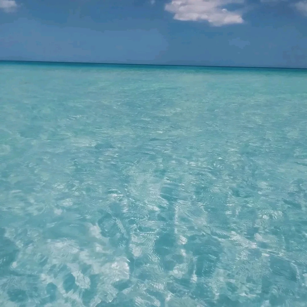 Immagine caricata da Enrico