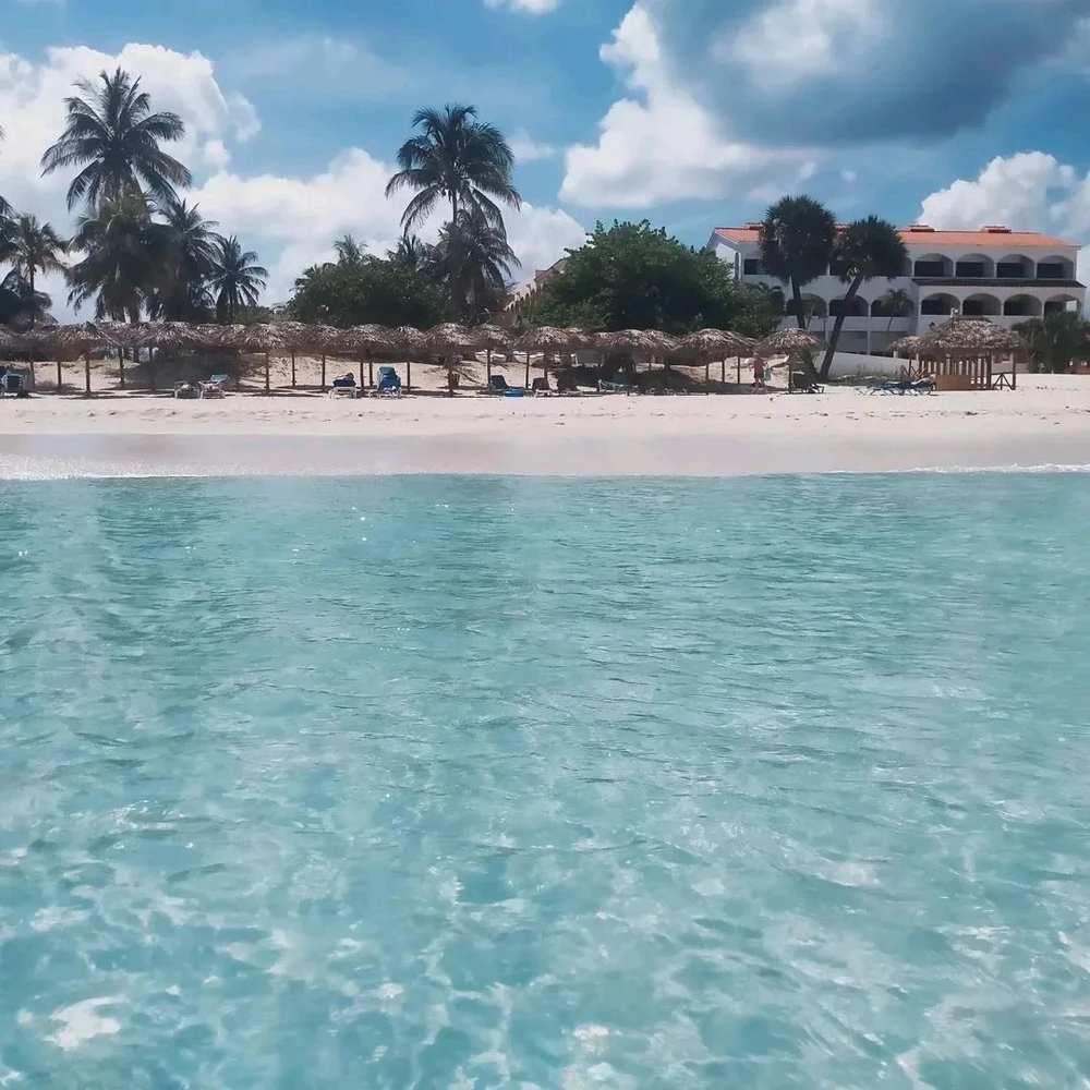 Immagine caricata da Enrico