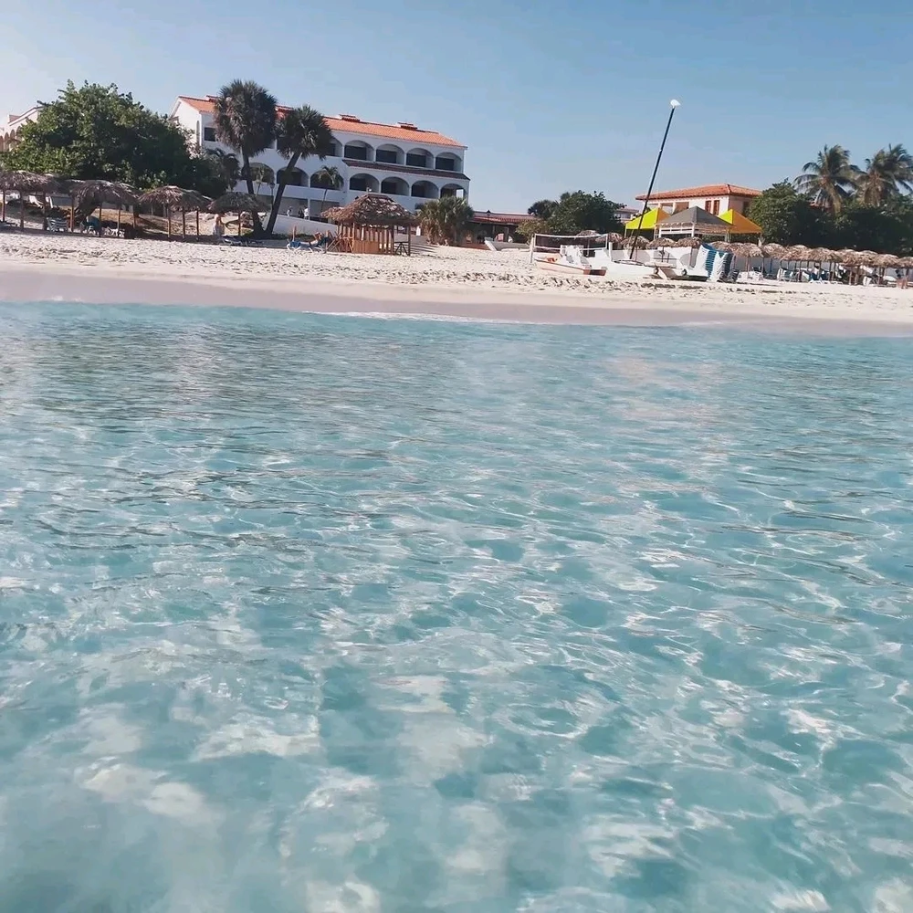 Immagine caricata da Enrico