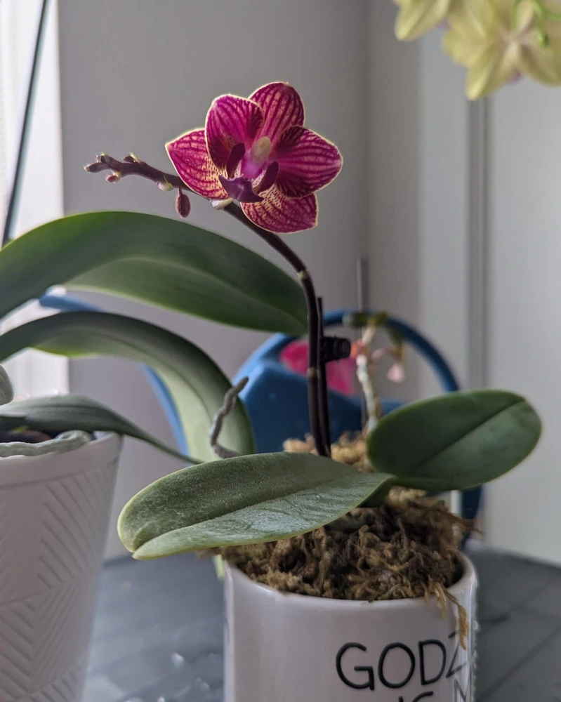 Image uploaded by Lynne