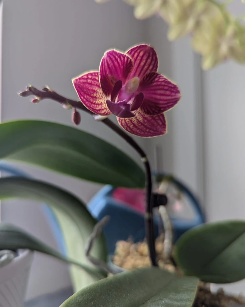 Image uploaded by Lynne