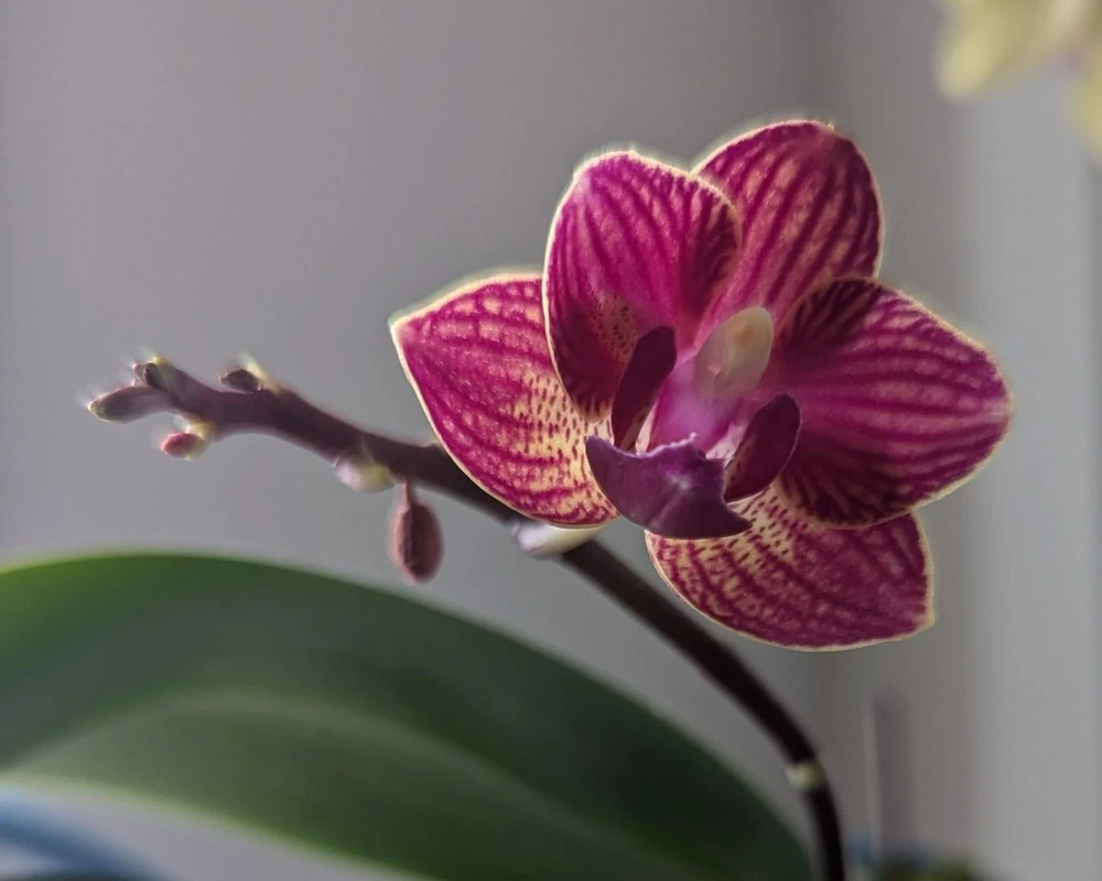 Image uploaded by Lynne