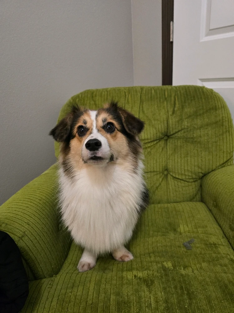 GIF uploaded by Joe Aguilera