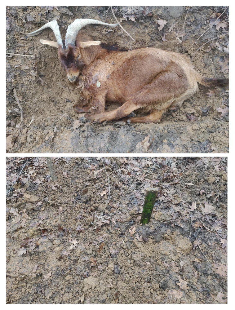 GIF uploaded by Dorian