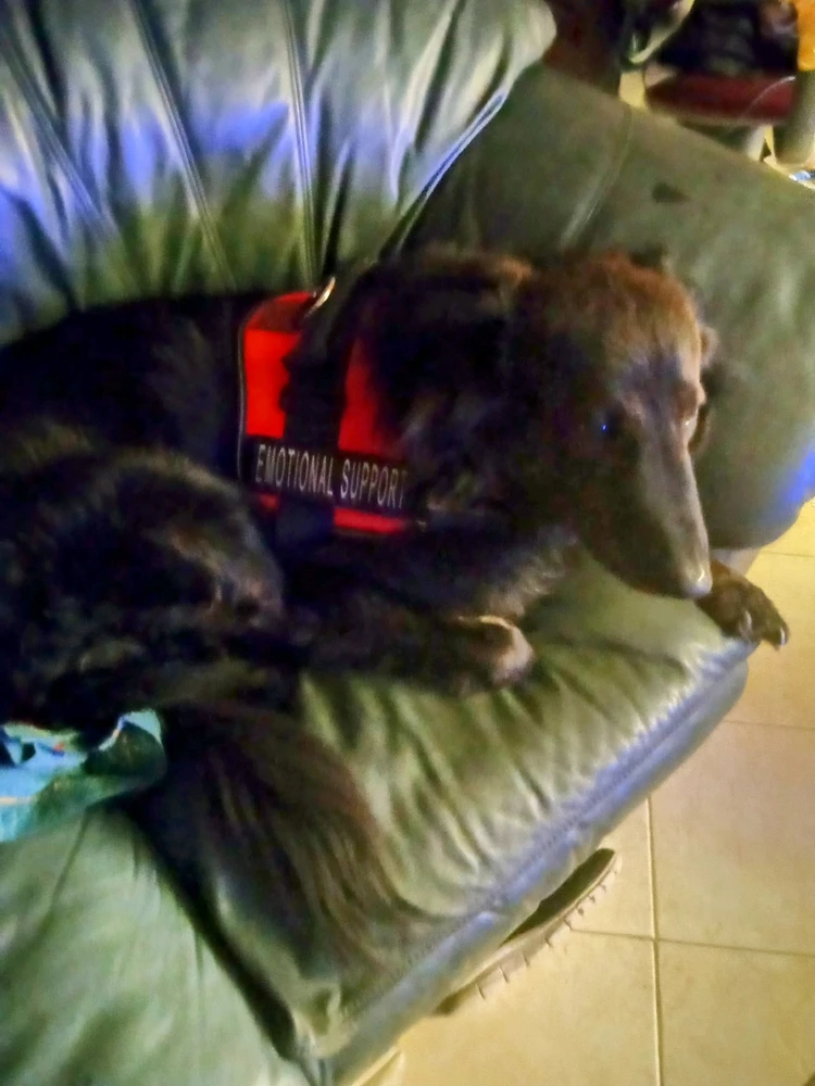 GIF uploaded by Jason 龙