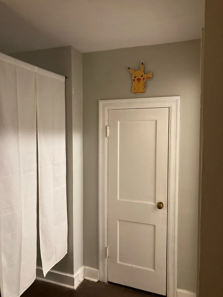 Daily Pika Greet ⚡️