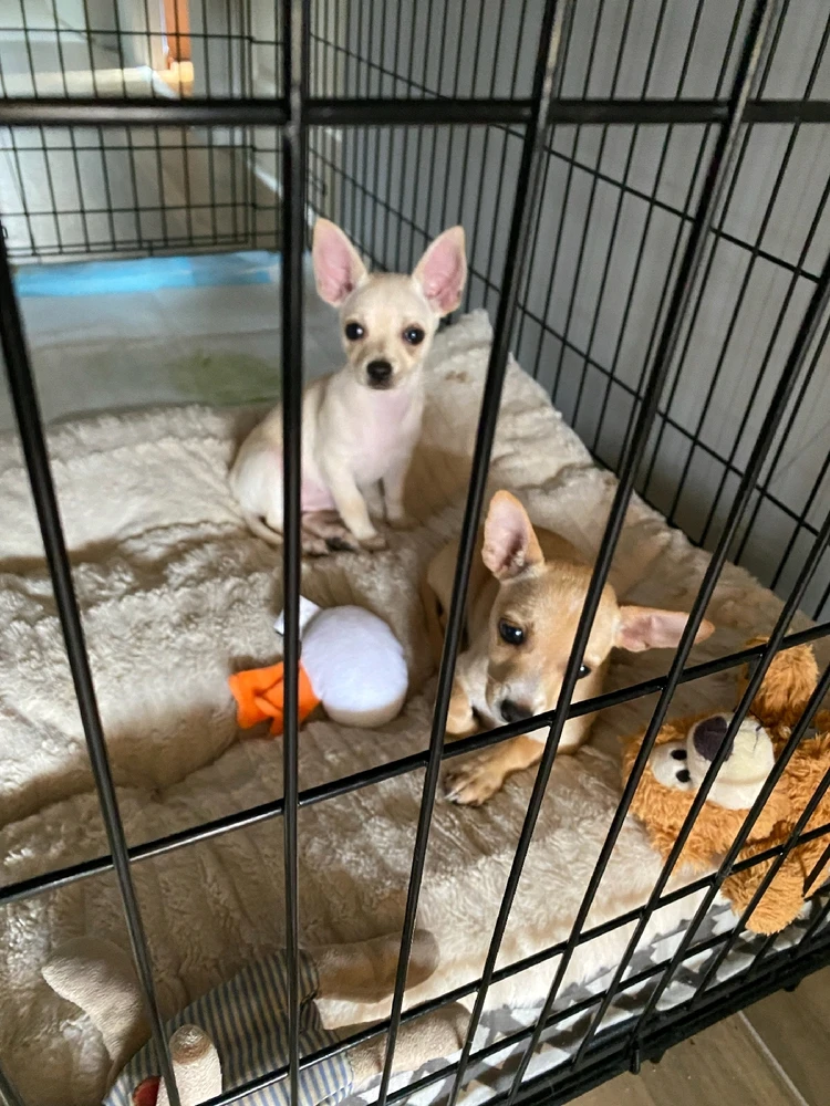 GIF uploaded by Sarah