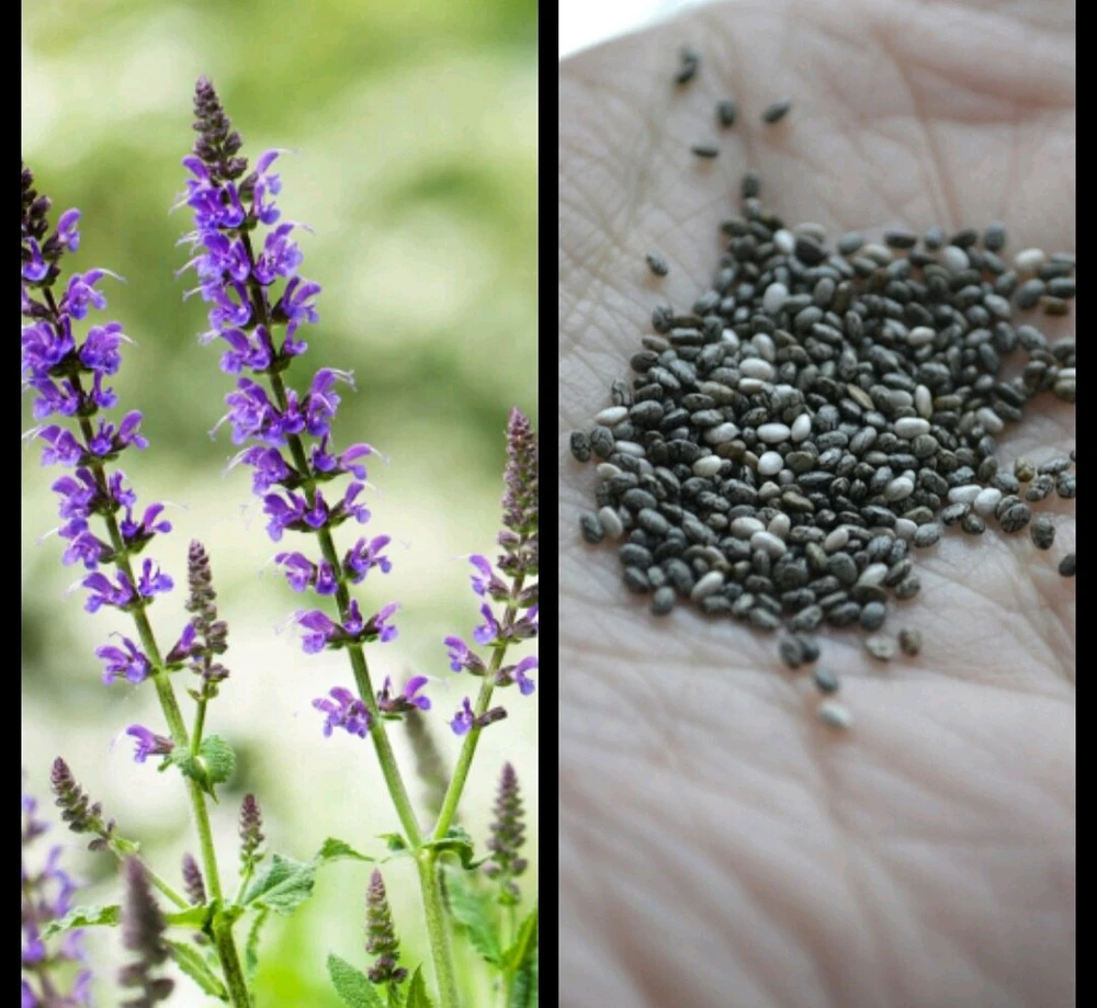 GIF загрузил Ana