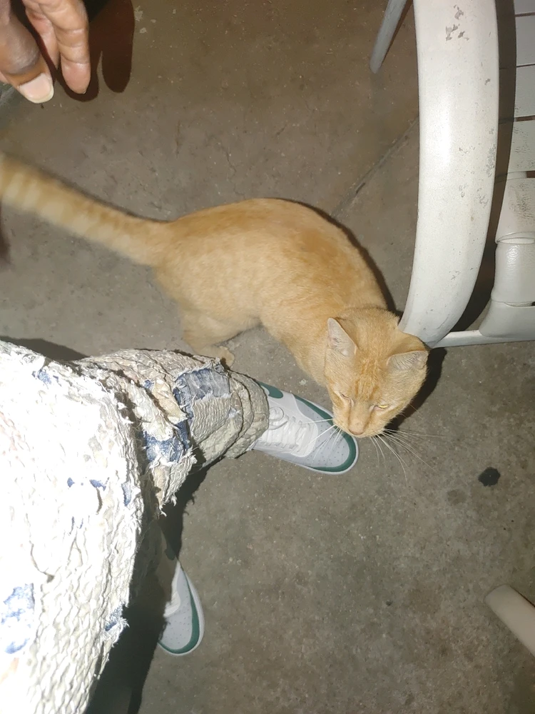 GIF uploaded by Randy