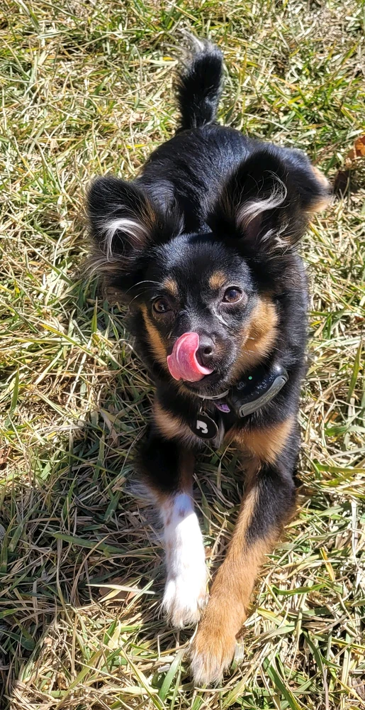 GIF uploaded by Dani