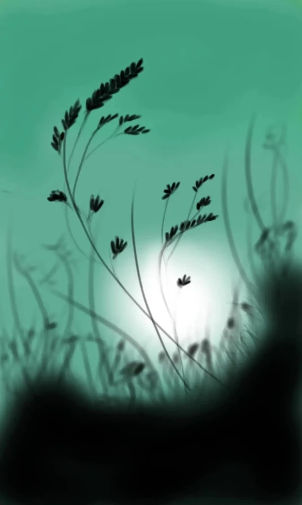 GIF uploaded by Bebo