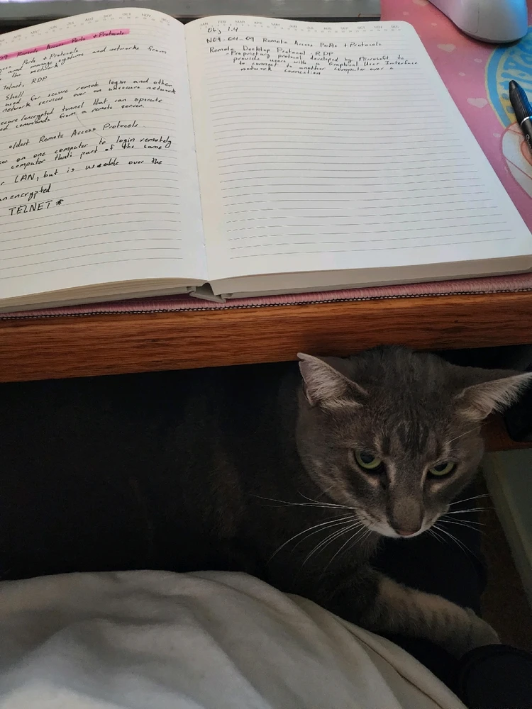 GIF uploaded by Brad