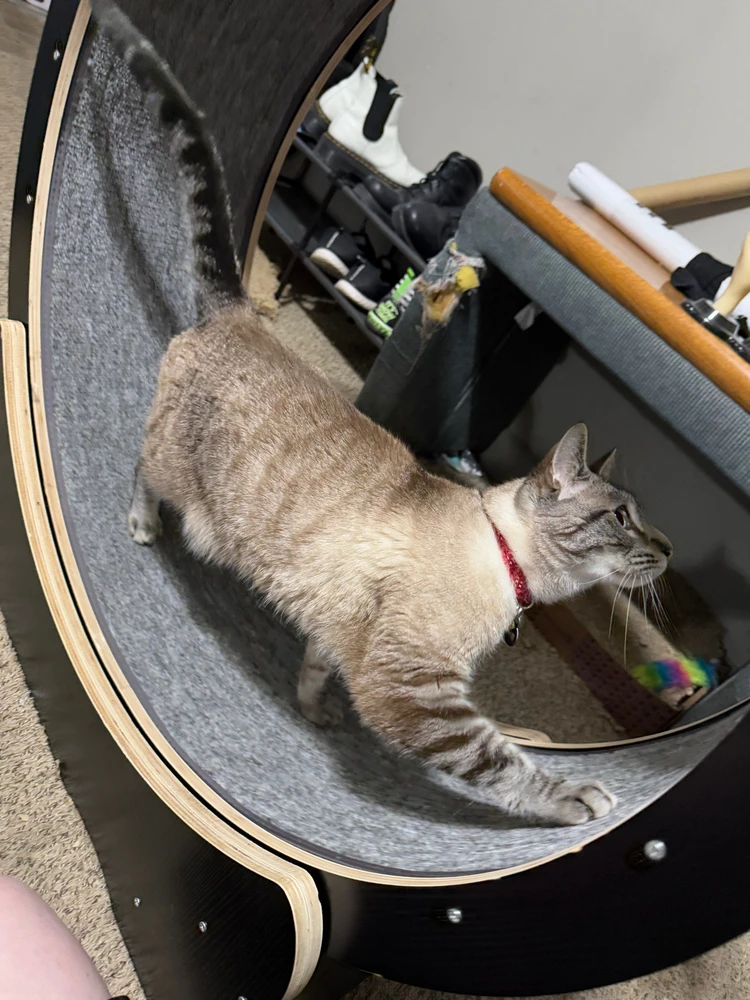 Image uploaded by Sky