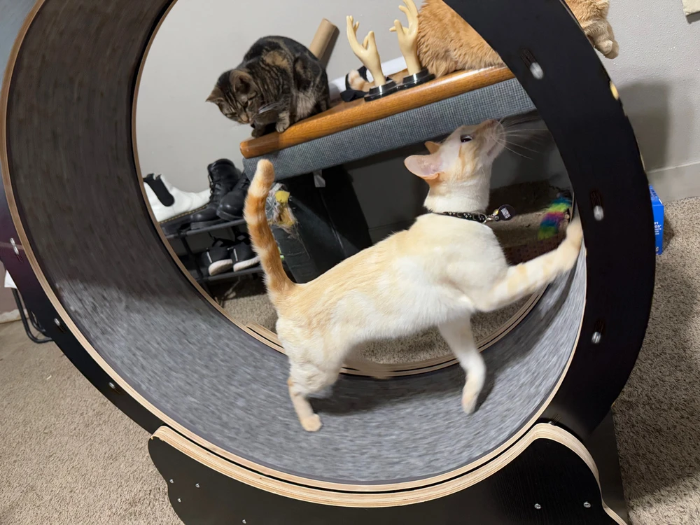 Image uploaded by Sky