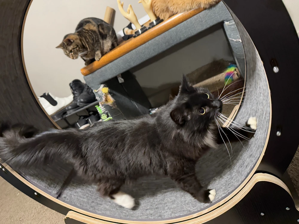 Image uploaded by Sky