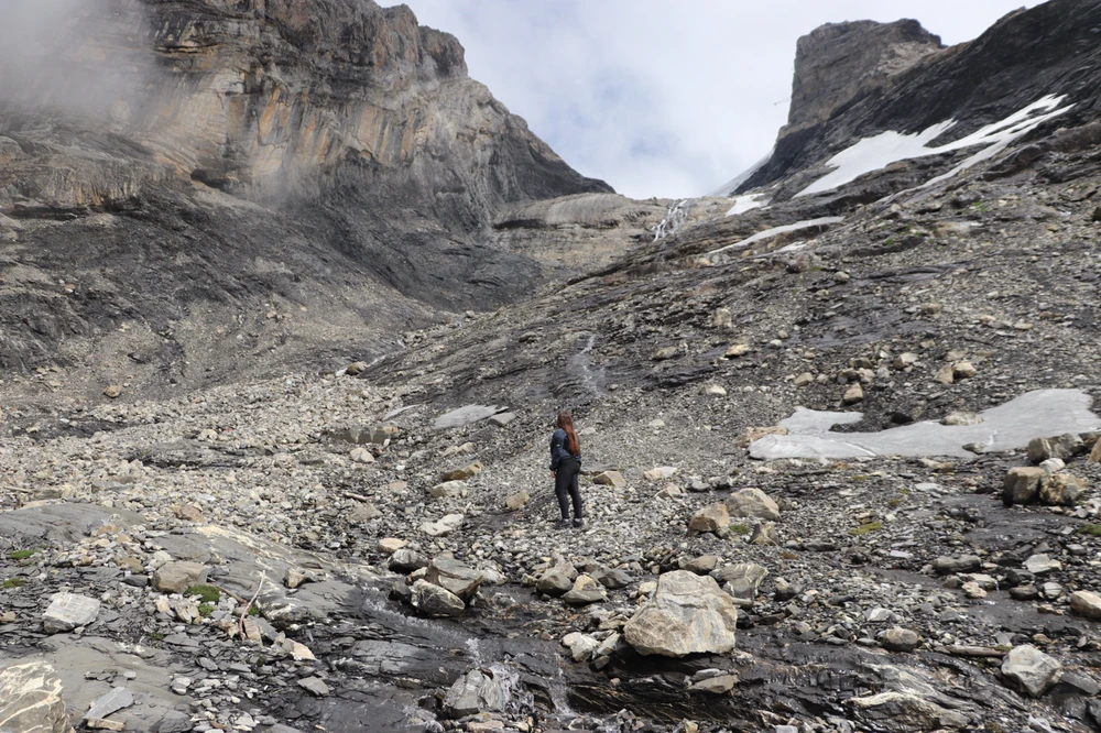 GIF uploaded by Jess