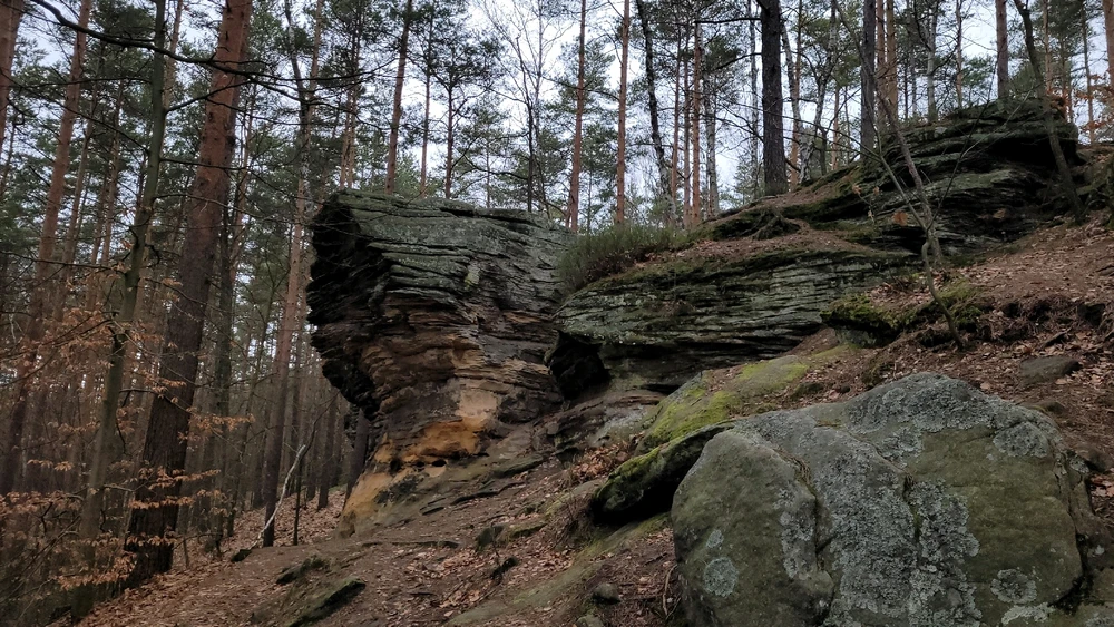 Zdjęcie dodane przez Heniutek